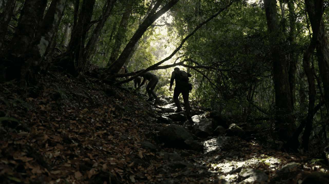 wordpress博客主题Indite